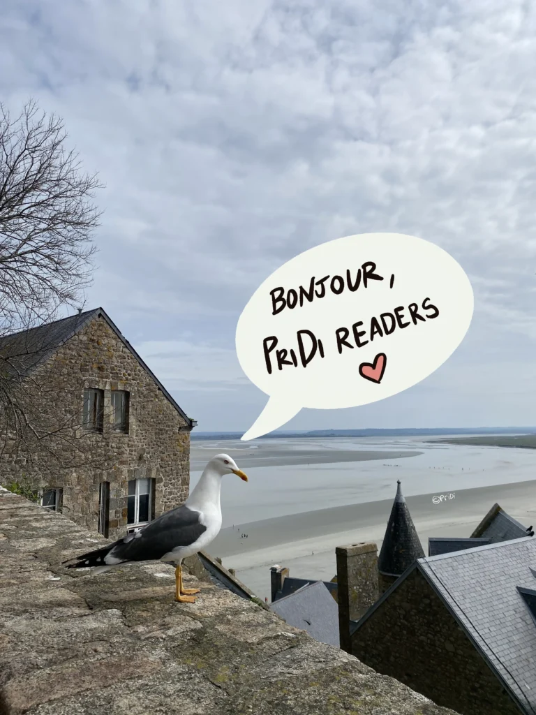 seagull saying "Bonjour, PriDi readers!"