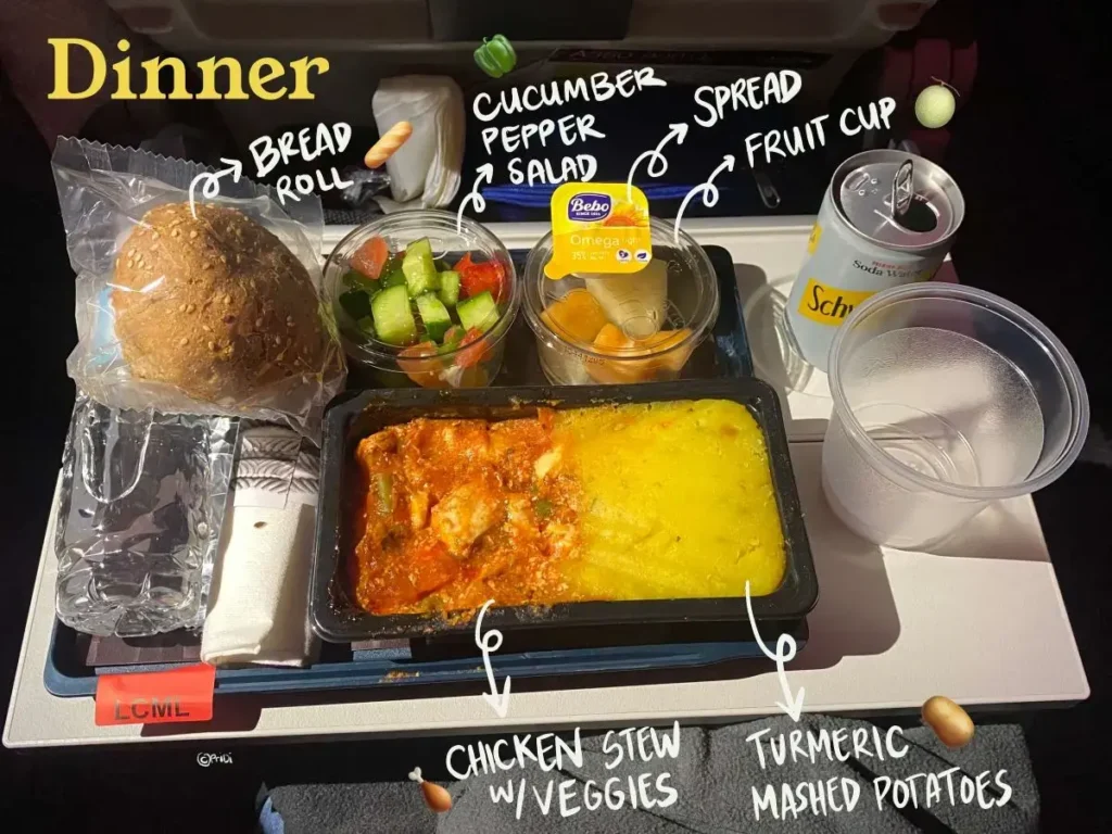 Low calorie meal dinner on Qatar Airways: Chicken stew with veggies, cucumber-pepper raw salad, fruit cup, whole wheat bread roll and vegan spread