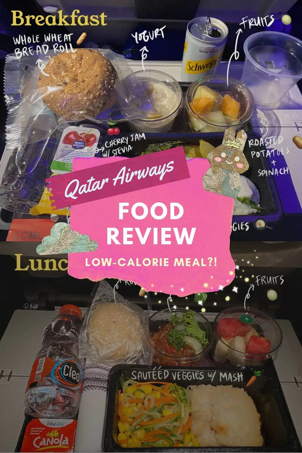 Qatar Airways Food Review: The Truth about Their Low-Calorie Meal