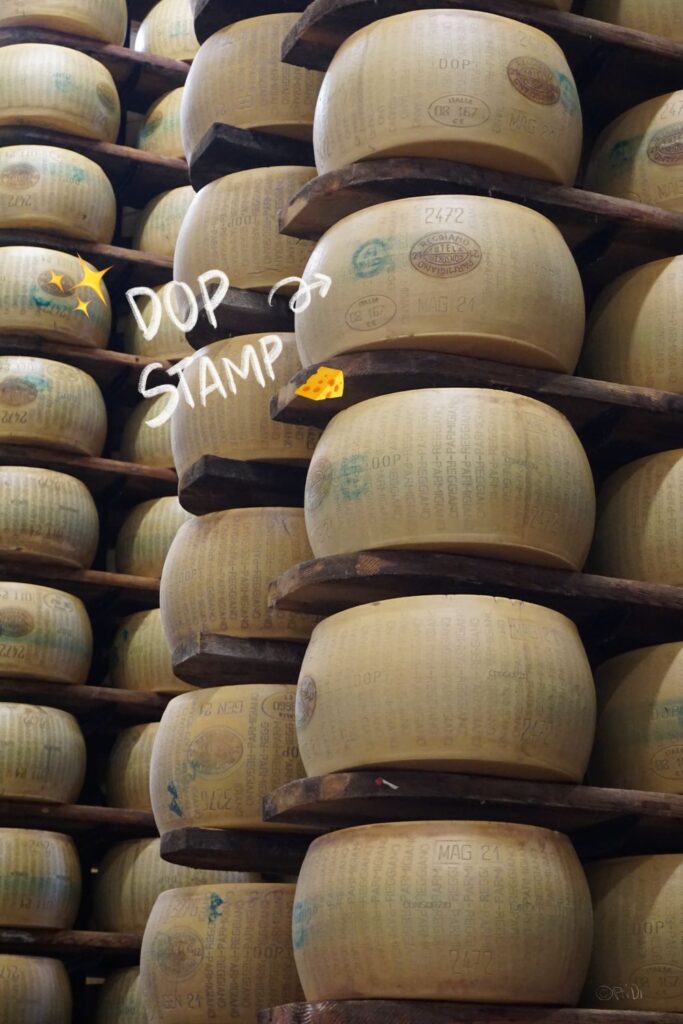 Hundreds of Parmesan cheese wheels maturing on shelves