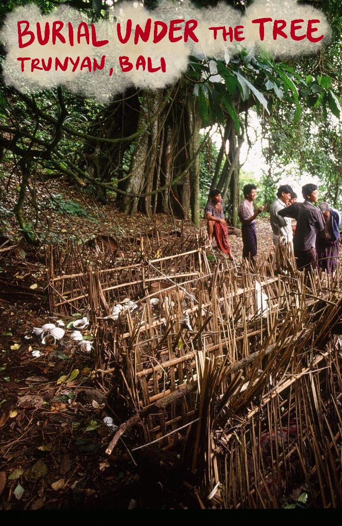 Wooden contraptions for dead bodies to be laid in Trunyan Village Bali