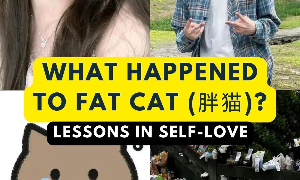 What Happened to Fat Cat (胖猫) and Tan Zhu? - Sarah Strawberry 🍓