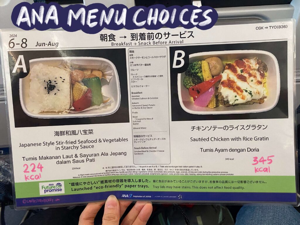 ANA menu choices A and B during flight