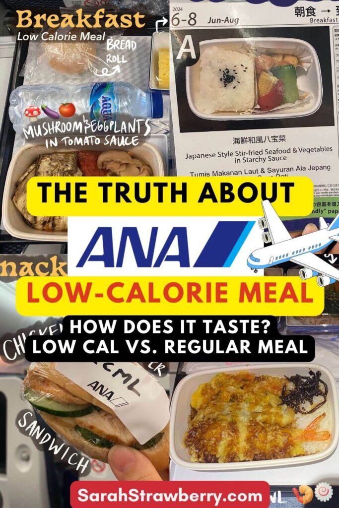 thumbnail for Sarah Strawberry ANA Airlines Low Calorie Meal vs Regular Meal Review