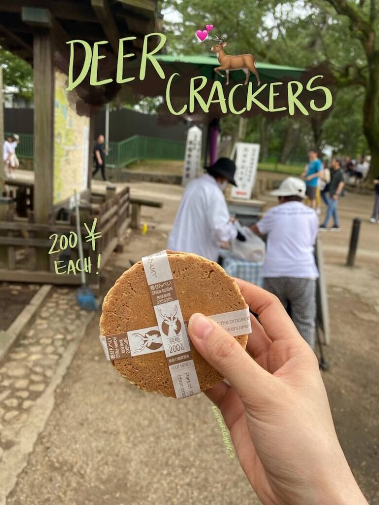 hand holding a stack of wheat crackers for deer