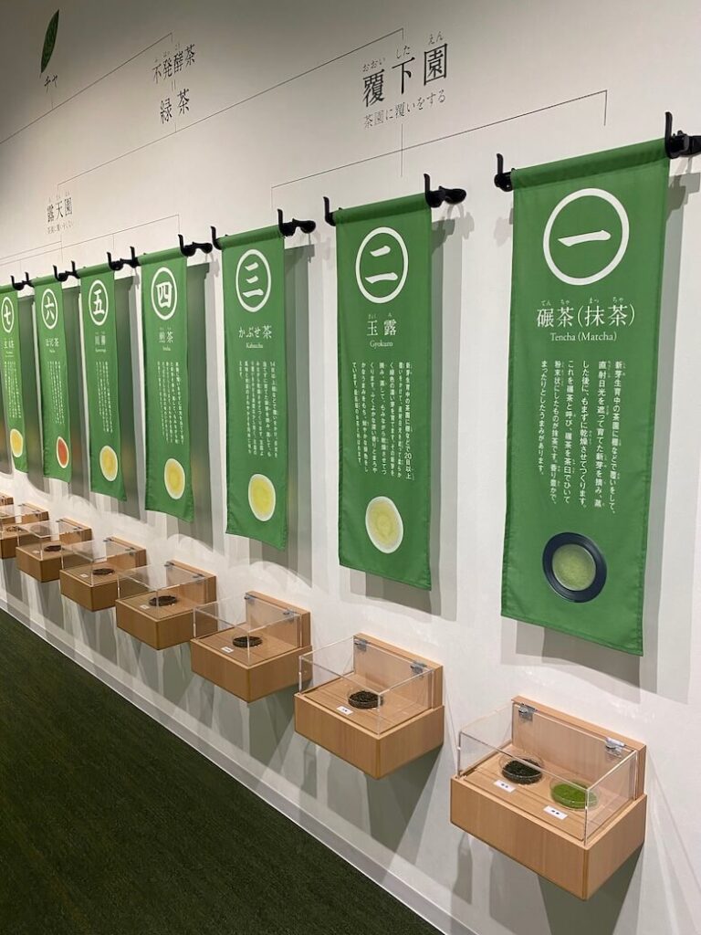 green banners and tea samples of different types of tea in Japan