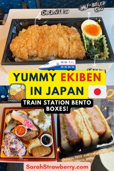 train bento boxes ekiben in japan, shows katsu bento, salmon bento, and katsu sando