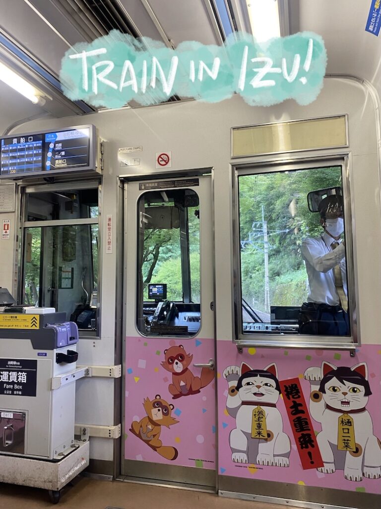 pink interior of a train with beckoning cats that has bangs