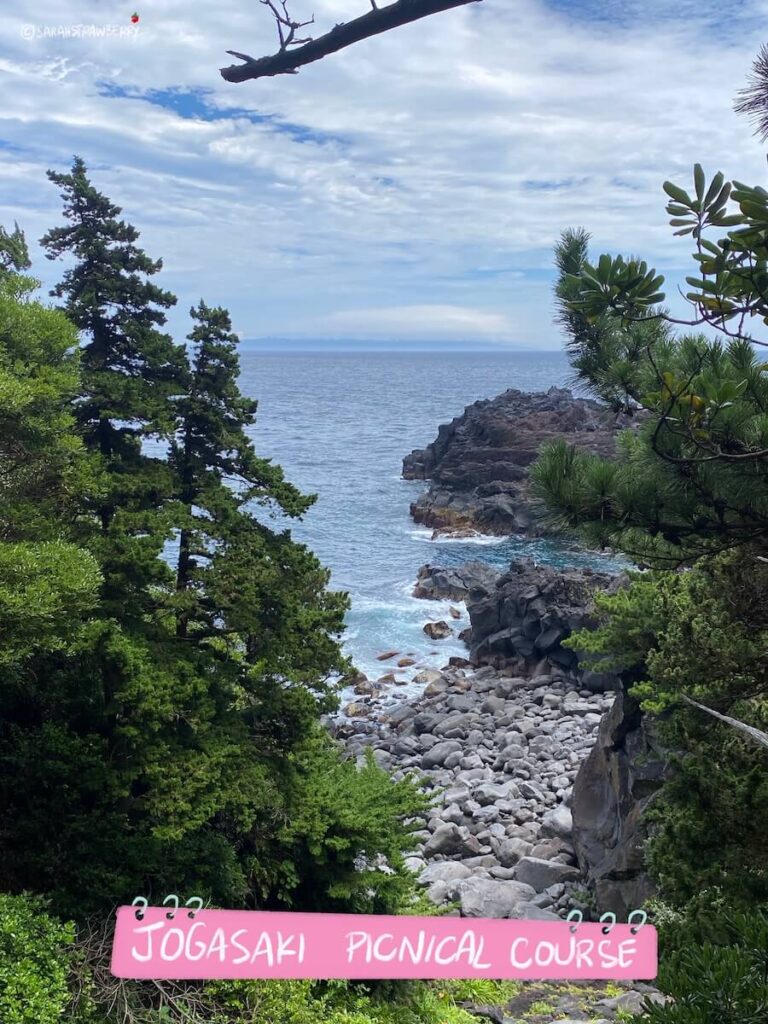 rocky coastal view of jogasaki picnical course trail