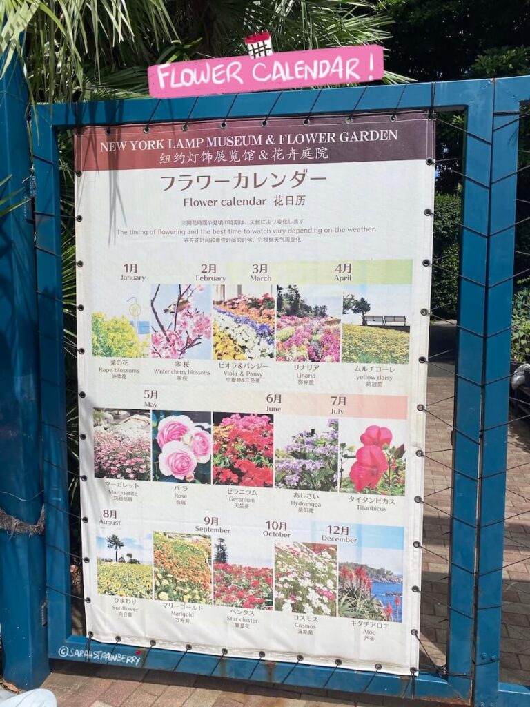 calendar showing which flowers bloom when