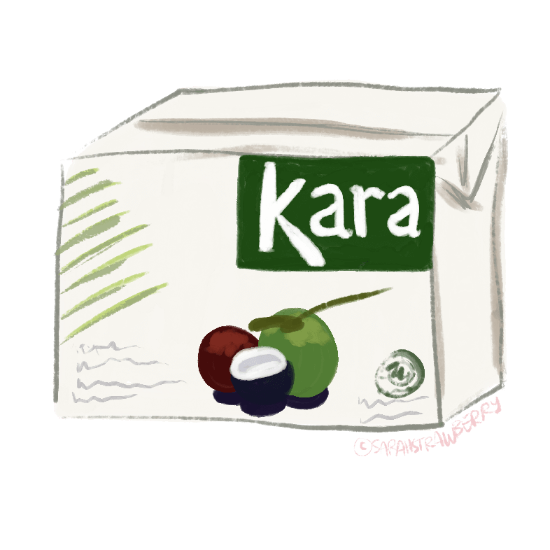 kara santan box illustration