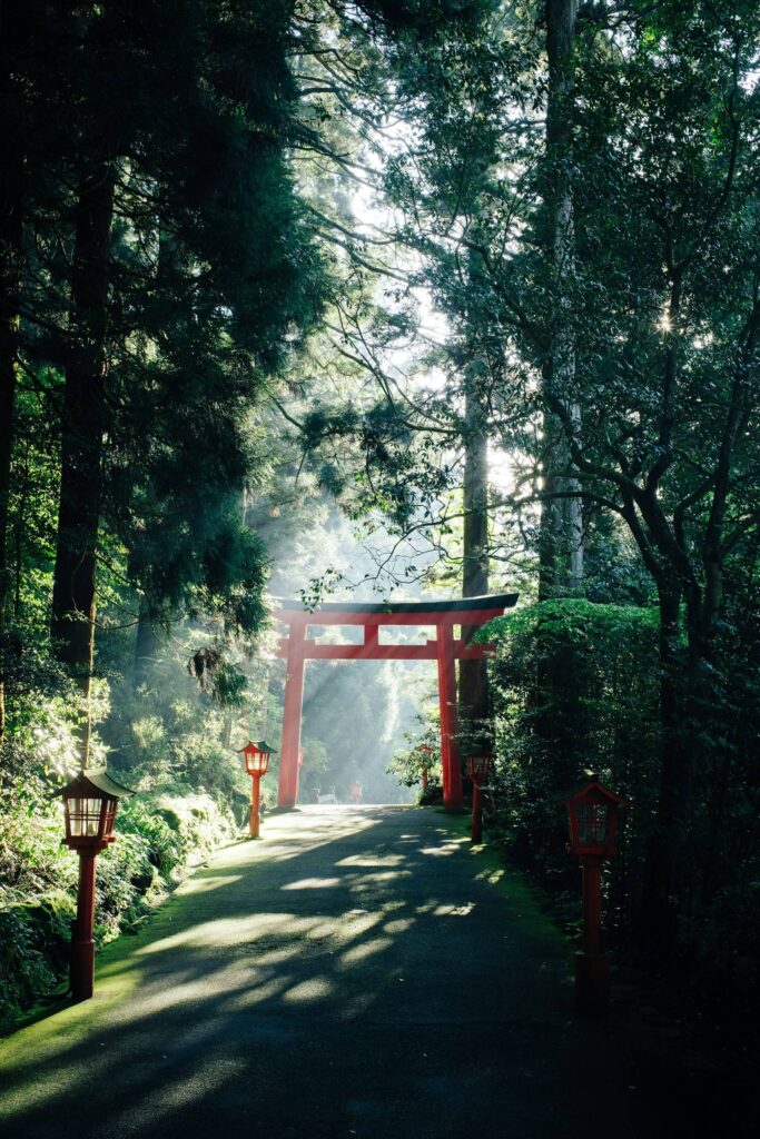 Hakone red torii gates