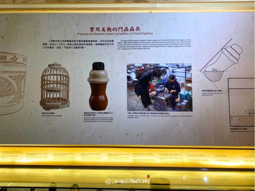 Singing insect exhibition at National Taiwan Museum