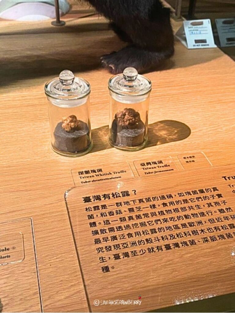 Taiwanese native truffles