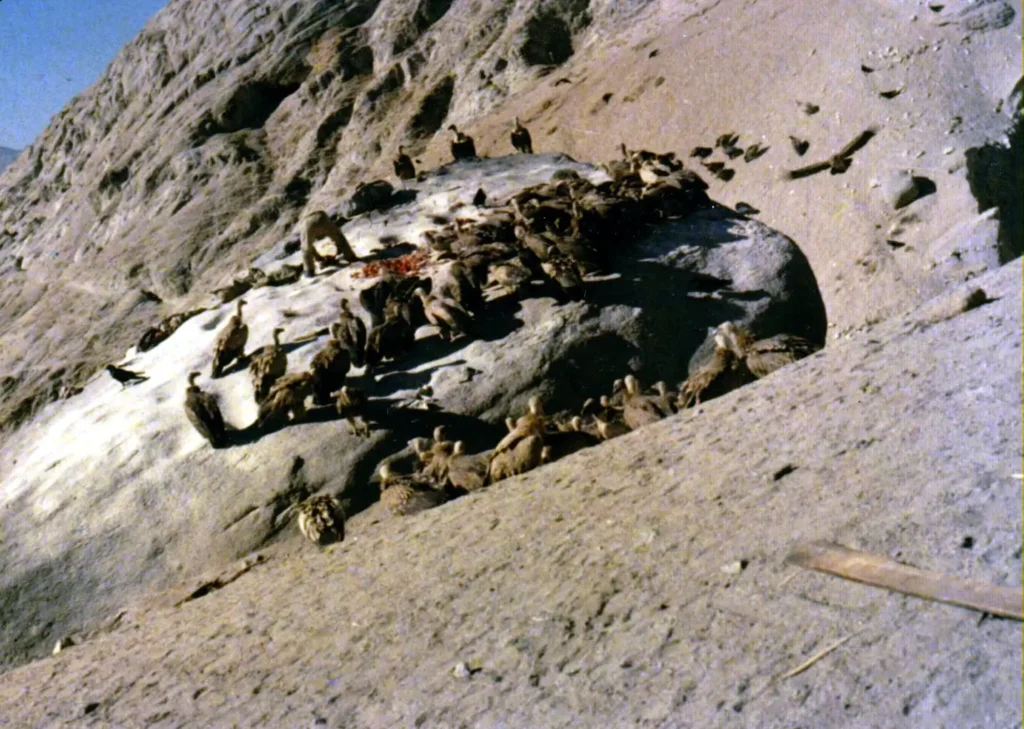 Sky burial in Tibet