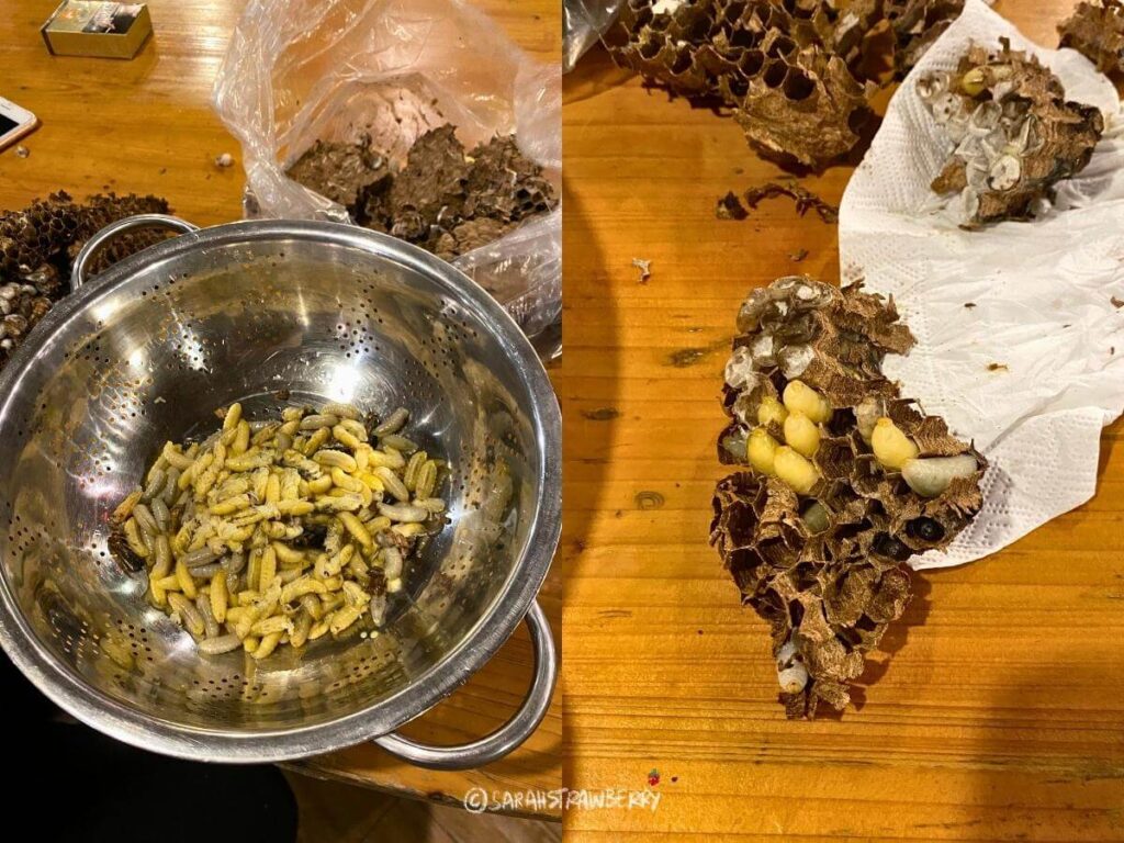 Wasp larvae in its nest picked out for cooking