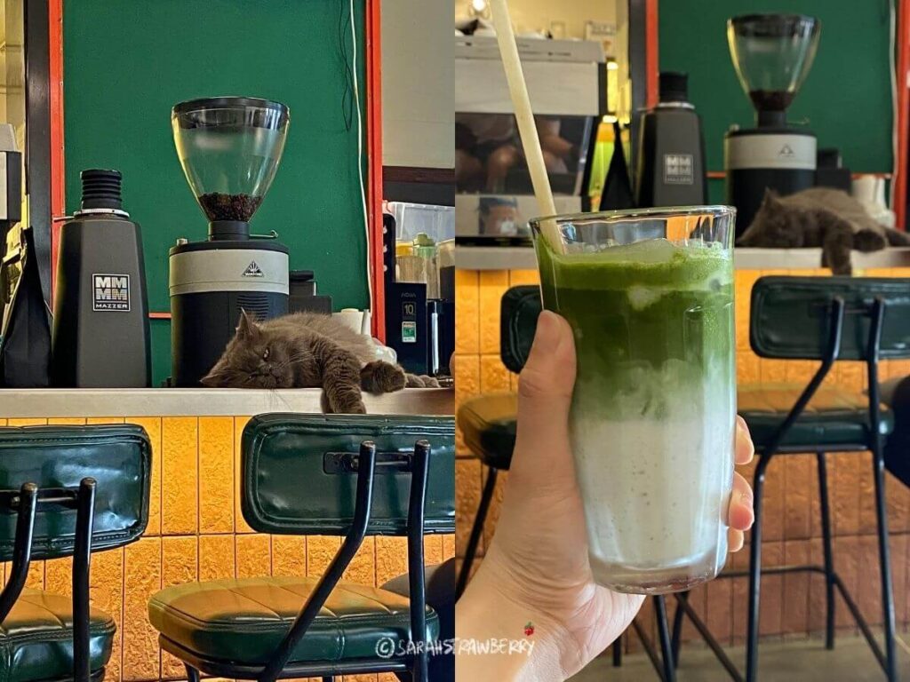 hanoi vietnam matcha latte