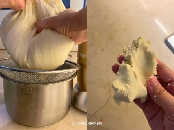 Squeezing blended soybeans to make homemade soymilk. The soy pulp okara.