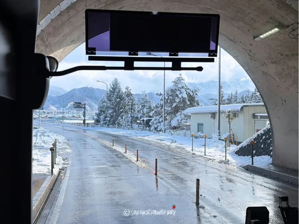 Winter pine view from Nagaden bus