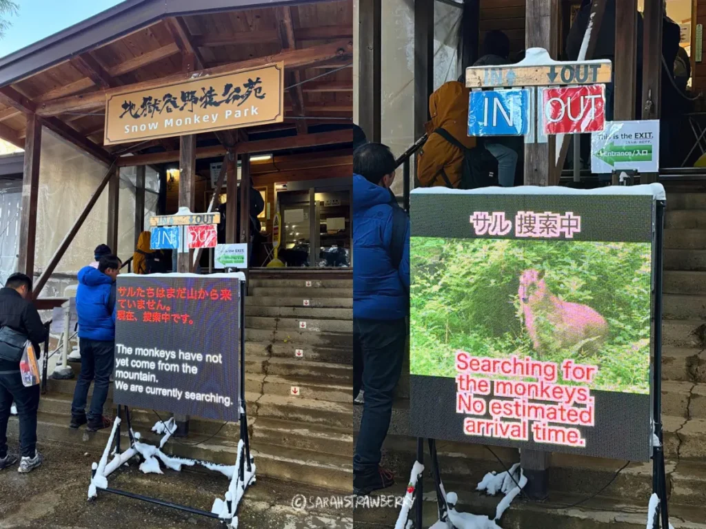 Jigokudani yaen admission ticket snow monkeys