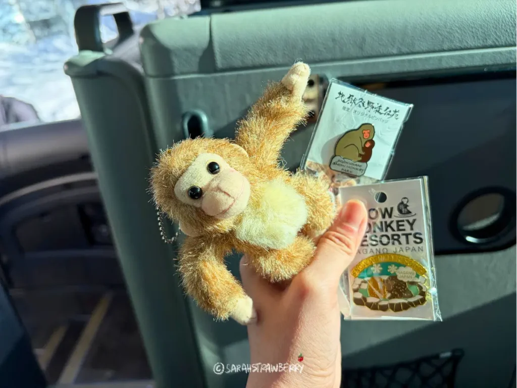 nagano snow monkey doll and pins